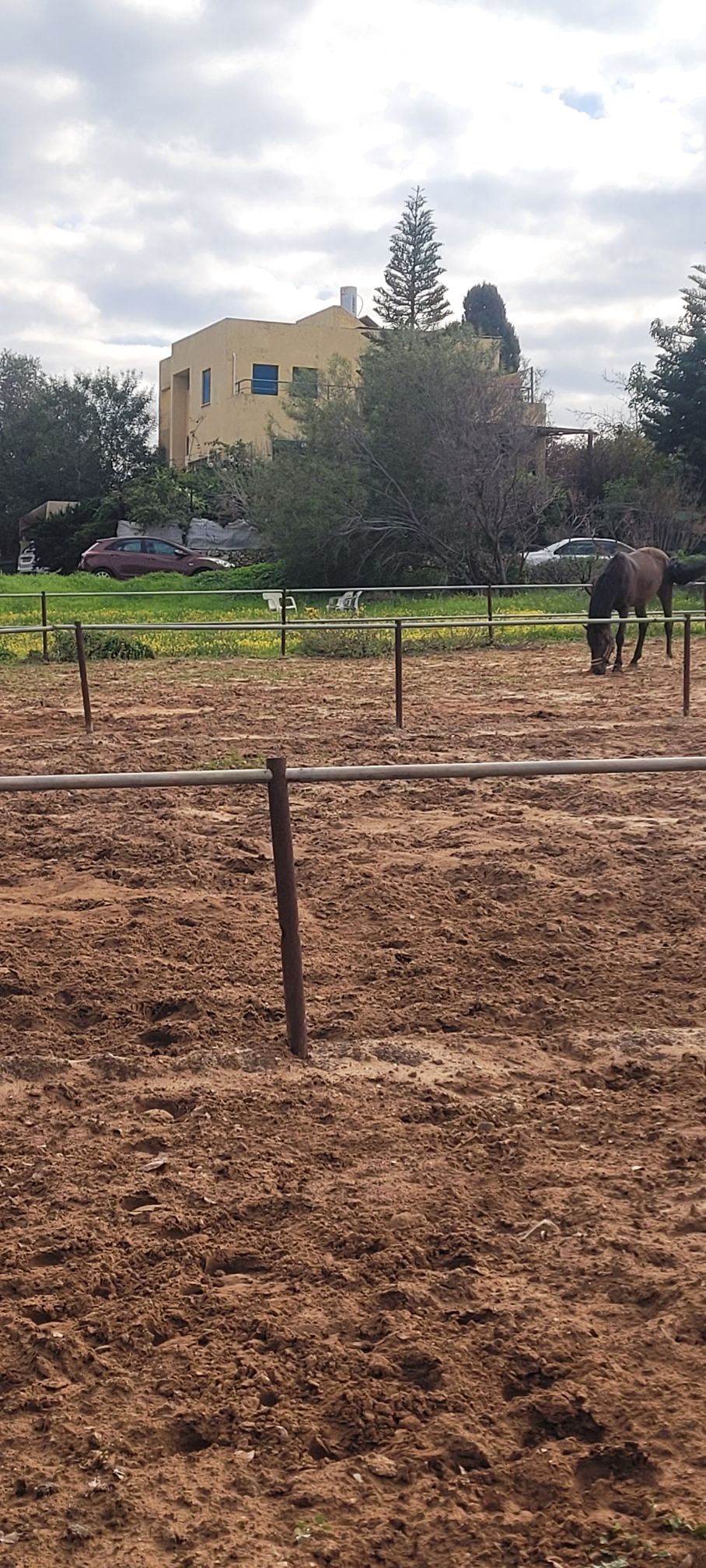 מהסמארטפון שלי